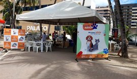 Feira de Adoção de animais acontecerá todos os dias na Rua Aberta a partir desta quinta-feira (29)