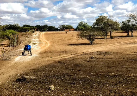 Seca atinge 75 municípios de Alagoas e provoca impactos na agricultura familiar