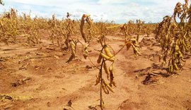 Impacto da seca na safra 21/22 de soja foi de R$ 72 bilhões