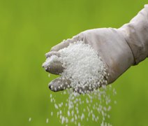 Câmara aprova PL ﻿de benefício fiscal para incentivar produção de fertilizantes