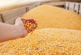 Conab aponta 268,2 MI na produção de grãos na safra 2021/22