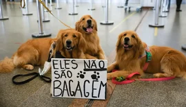 Após morte de Joca, tutores se manifestam no aeroporto de Brasília