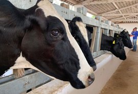 71ª Expoagro: Governo lança segunda etapa da campanha contra a febre aftosa