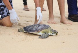 Biota, MPAL e MPF participam de soltura de tartaruga marinha em Maceió