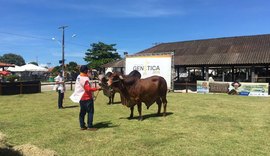 Expoalagoas Genética Itinerante traz programação focada no pilar genético