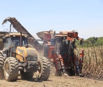 Mecanização avança nos canaviais do setor sucroenergético de AL