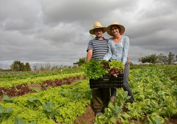 Mapa registra mais 20 defensivos, incluindo produtos para uso na agricultura orgânica
