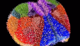 Supercomputador japonês cria mapa cerebral com 10 milhões de neurônios