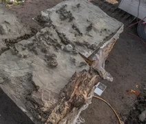 Arqueólogos encontram cão neolítico enterrado com adaga em ritual de 5.000 anos atrás