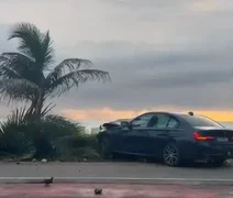 Motorista invade calçada e derruba coqueiro na orla de Maceió
