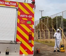 Duas mulheres e uma criança ficam gravemente feridas após ataque de abelhas, em Arapiraca