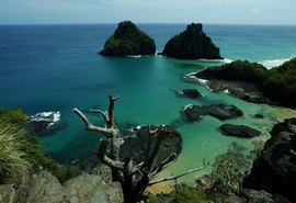 Praia em Fernando de Noronha segue fechada após ataque de tubarão