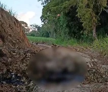 Corpo carbonizado é localizado em área de usina em Rio Largo