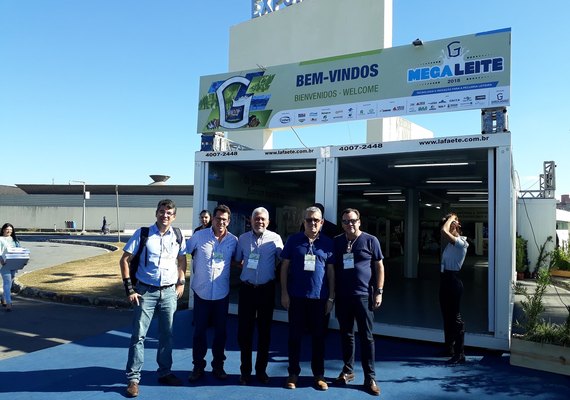 Sistema de recria de animais pode cortar custos da cadeia produtiva de leite