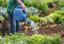 Agricultores familiares contarão com verba na pandemia