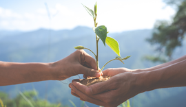 Ministério do Turismo apoia chamamento público para projetos de conservação ambiental