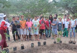 Município promove atividades de sustentabilidade na semana do meio ambiente