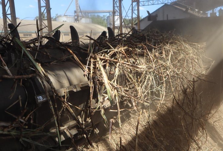 Sistema de limpeza a seco aumenta eficiência no processamento da cana