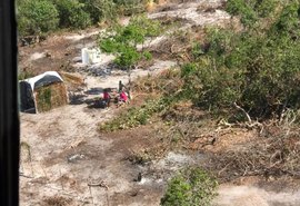 IMA aplica multa de R$ 750 mil por desmatamento de 100 hectares em Piaçabuçu