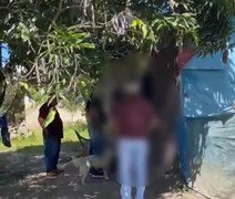 Homem é preso suspeito de manter relações sexuais com cadelas em Murici