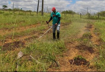 Governo de Alagoas destina R$ 200 mil para assistência técnica rural