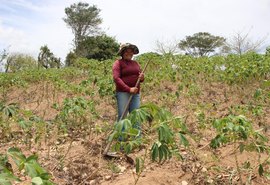 Agricultura anuncia prorrogação de pagamento de boletos do Garantia-Safra 23/24