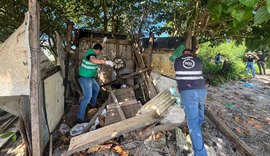 Fiscalização apreende drogas e remove barracos irregulares no Vergel do Lago