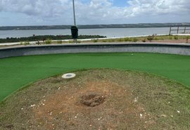 Muda de Ipê plantada por alunos da rede municipal é furtada em Maceió