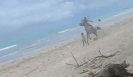 VÍDEO: Criança é atropelada por cavalo em praia de Maceió