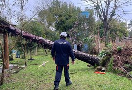Chuvas deixam mais de 700 desabrigados no Rio Grande do Sul