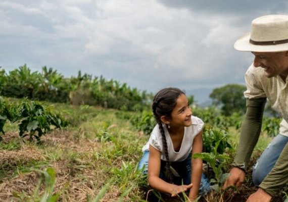 Tecnologia e diversificação impulsionam coop da agricultura familiar