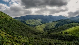 Operação contra o desmatamento da Mata Atlântica começa em 17 estados