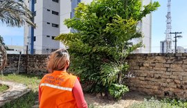 Defesa Civil Maceió alerta sobre rajadas de ventos que podem chegar a 45km/h