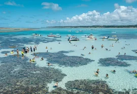 Maragogi vive alta temporada com praias cheias e turismo aquecido