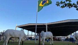 Expoagro-AL projeta novos negócios e reforça Alagoas no mercado de genética