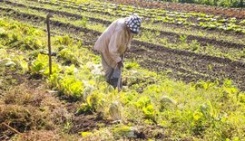 Programa de Aquisição de Alimentos é retomado e ampliado, após publicação de MP