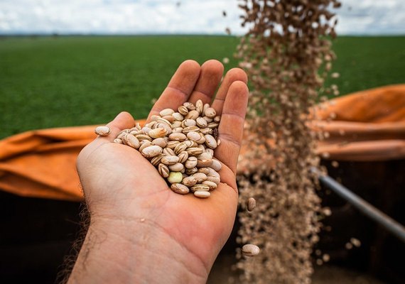 Tendência é de estabilidade para preços agrícolas na safra 2025/26