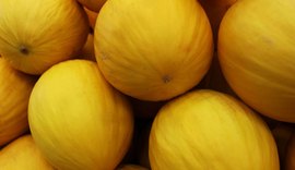 Nordeste se destaca na produção nacional de dez culturas agrícolas