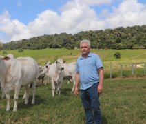 Varrela leva ao mercado genética Nelore com foco em desempenho e eficiência