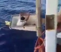 Vídeo: pescador do Amapá é encontrado após ficar à deriva no oceano dentro de freezer por 11 dias