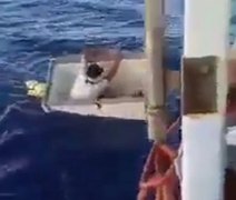 Vídeo: pescador do Amapá é encontrado após ficar à deriva no oceano dentro de freezer por 11 dias