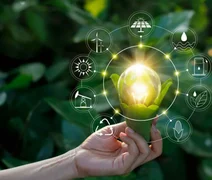 Sistema OCB avança em projeto de eficiência energética com cooperativas