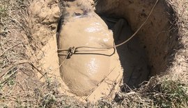 Cavalo é resgatado por bombeiros após cair dentro de poço em Satuba