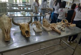 Peças anatômicas de animais serão expostas na Semana do Meio Ambiente