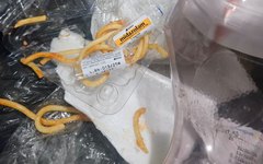 Suspeito foi preso em flagrante após denúncia da companheira