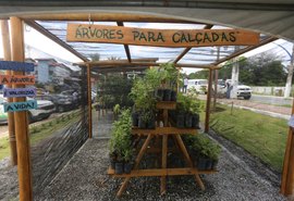 Marechal Deodoro recebe o título de Cidade Destaque em Gestão Ambiental