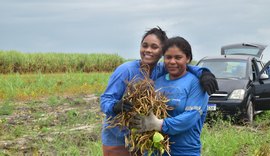 Agricultura familiar cresce em Coruripe e entra em novo ciclo de desenvolvimento no campo