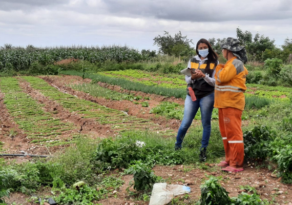 Emater e FAPEAL divulgam resultado definitivo de aprovados na seleção de bolsistas