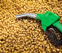 CNA pede aumento do biodiesel no diesel para segurar alta de preços