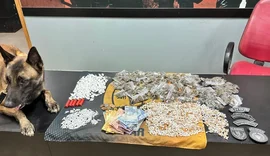 PM apreende quase 50 kg de drogas e 25 armas em uma semana em Alagoas